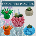 Sea Urchin Planter