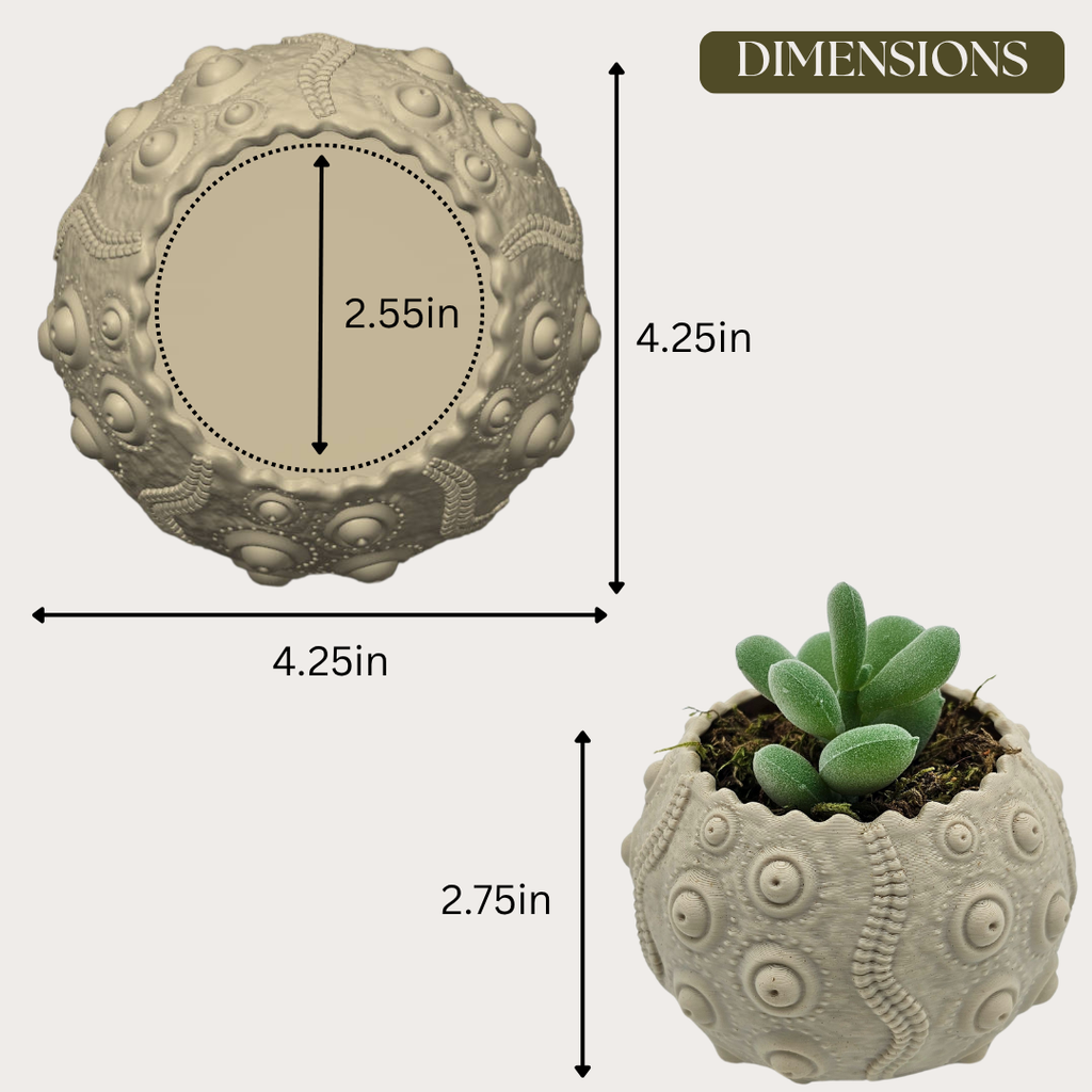 Sea Urchin Planter