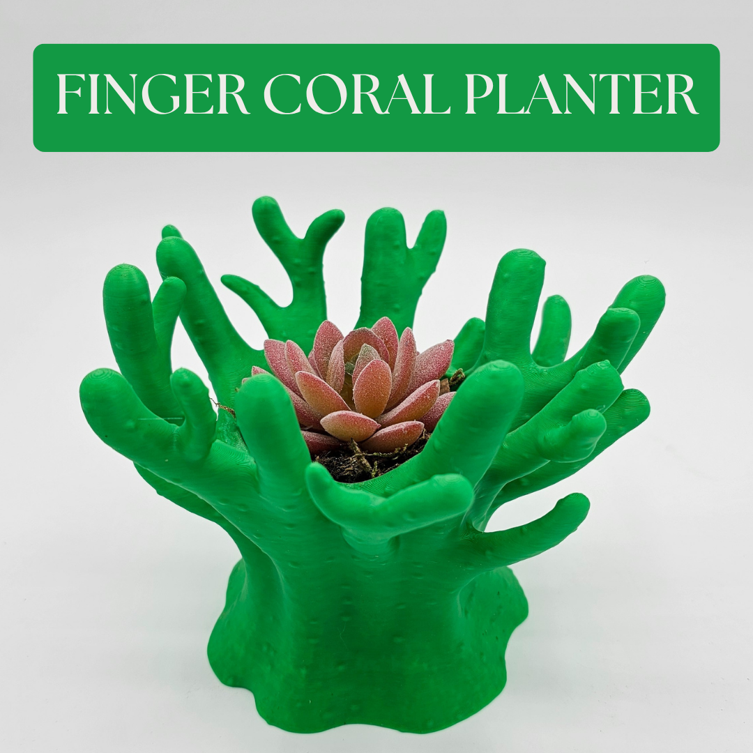 Finger Coral Planter