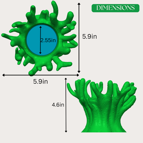 Finger Coral Planter