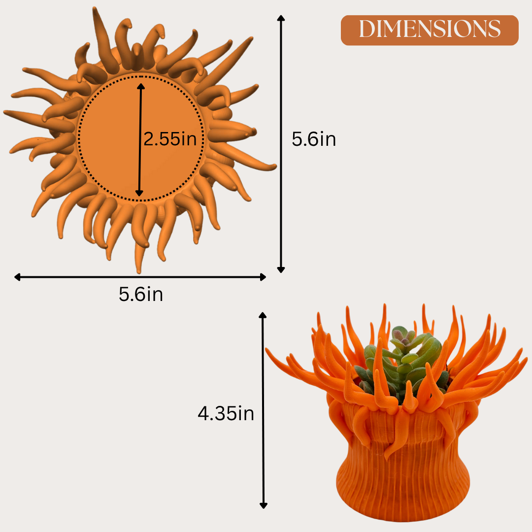 Anemone Coral Planter