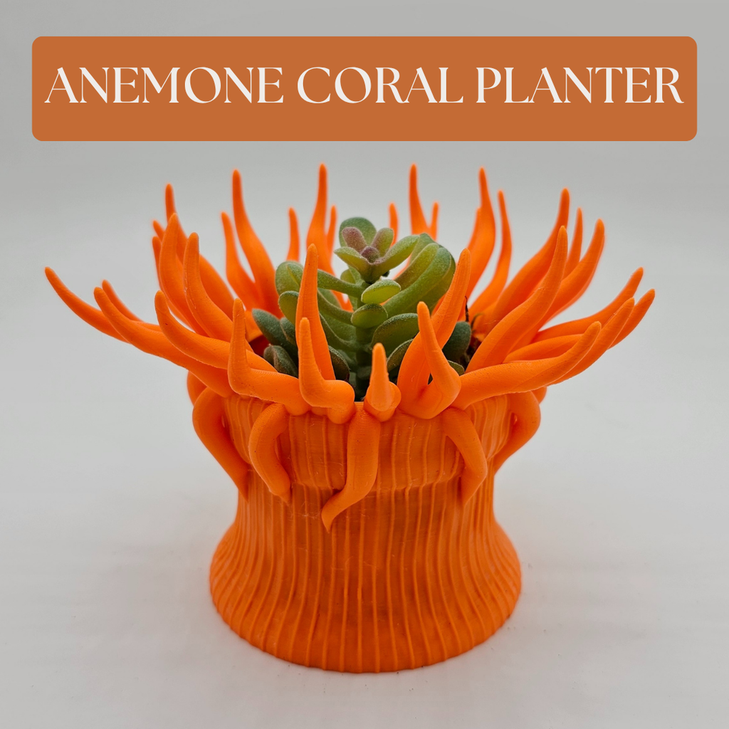 Anemone Coral Planter