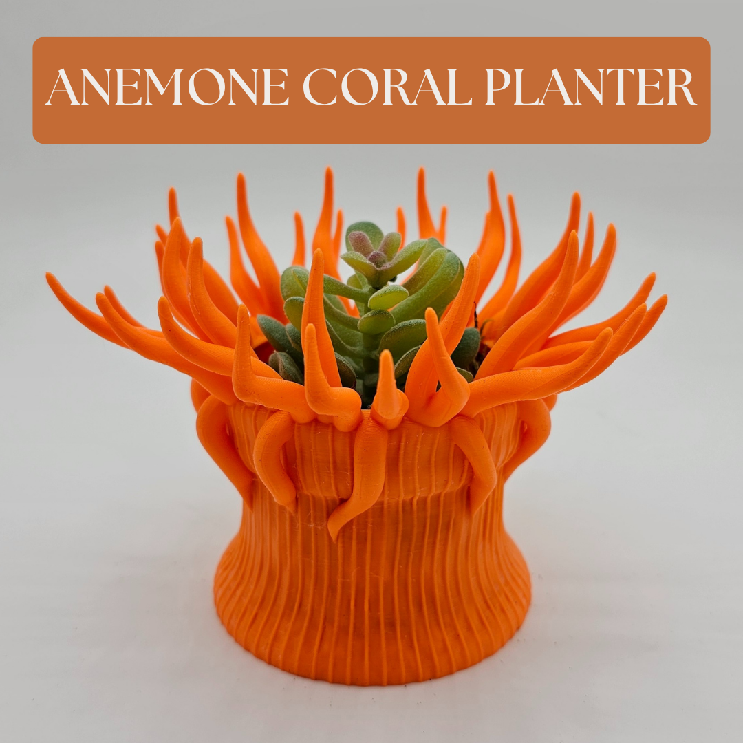 Anemone Coral Planter