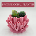 Sponge Coral Planter