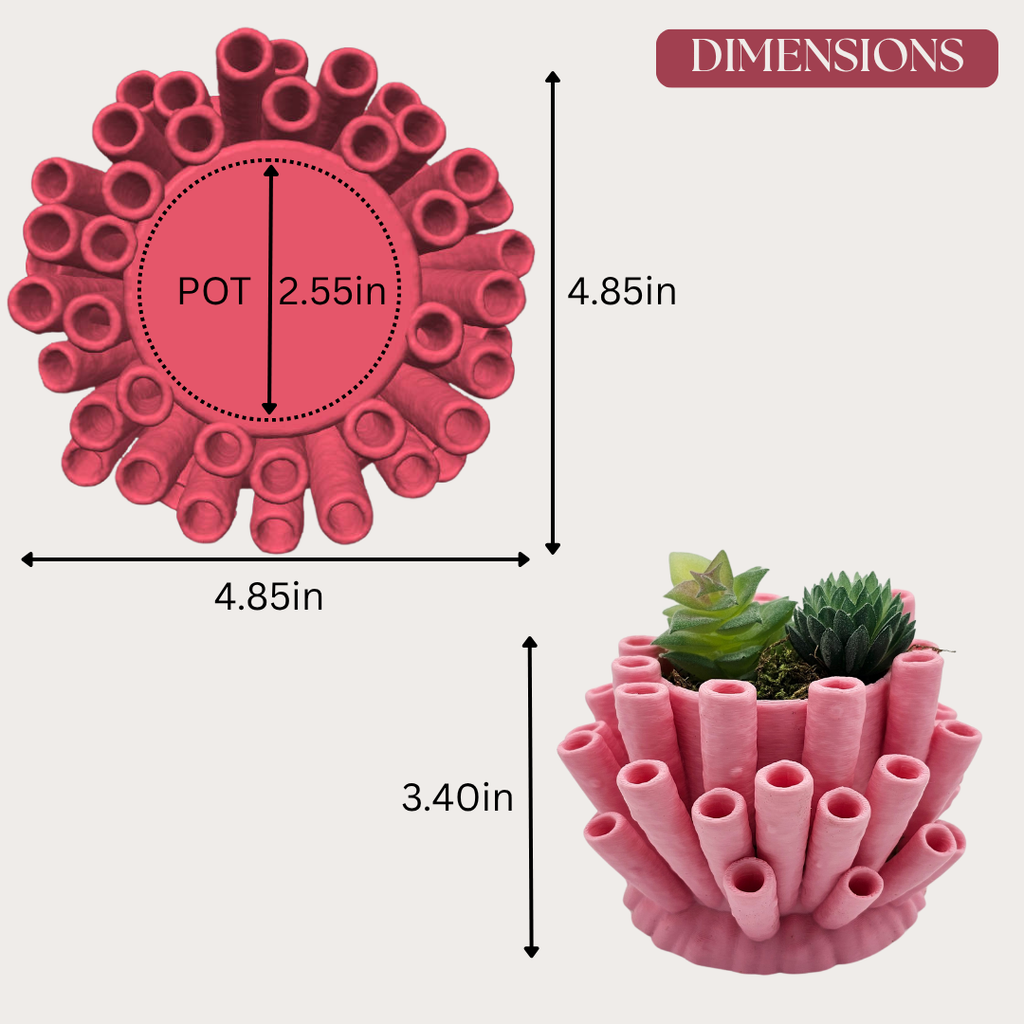 Sponge Coral Planter